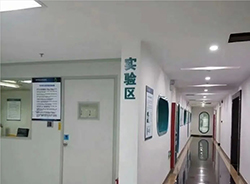 沈阳怀孕12周需要怎么做无创孕期亲子鉴定，沈阳做无创怀孕亲子鉴定多少钱一次
