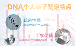 沈阳隐私亲子鉴定怎么做，沈阳隐私亲子鉴定办理流程指南