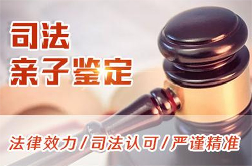 沈阳正规司法亲子鉴定中心到哪里,沈阳司法亲子鉴定收费标准
