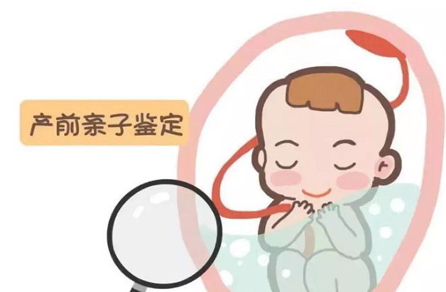 沈阳怀孕亲子鉴定收费多少,沈阳产前亲子鉴定怎么做