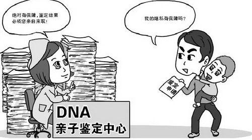 沈阳司法DNA亲子鉴定资料和流程,沈阳司法DNA鉴定出结果时间